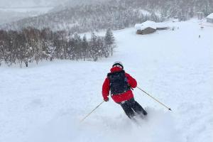 Mountain View Totoro - spacious & sunny during the winter Még 35 kép
