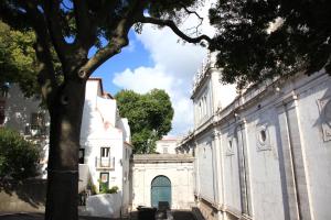 ein Baum vor einem weißen Gebäude in der Unterkunft São Vicente House in Lissabon