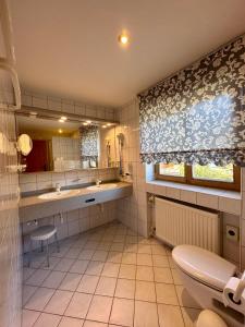 a bathroom with a toilet and a sink and a mirror at Hotel Bergland in Grainau