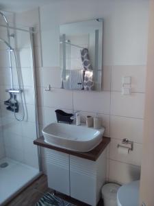Bilik mandi di Ferienwohnung Straßburg