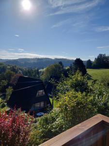 a view from the roof of a house at Haus am See Willingen in Willingen