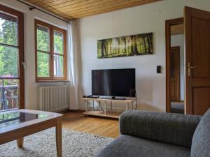 a living room with a couch and a flat screen tv at Haus 2 Hanselishof - 2 Wohnungen in Schenkenzell
