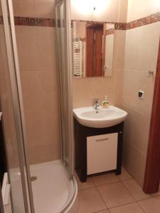 a bathroom with a sink and a shower at Belweder Apartamenty i Pokoje in Wisła