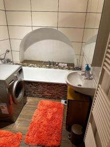 bagno con lavandino e lavatrice di Schöne Wohnung in Bestlage inclusive Parkplatz a Lipsia