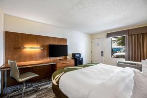 奧蘭多的住宿－Quality Inn & Suites Downtown，酒店客房配有一张床、一张书桌和一台电视。