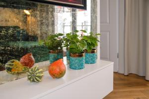 three vases sitting on a white shelf with plants at Maya's Flats & Resorts 34 - Chmielna 73 in Gdańsk