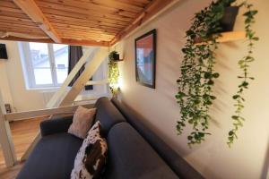 a living room with a blue couch and a plant on the wall at Le Petit Plus - studio confortable avec parking in Annecy