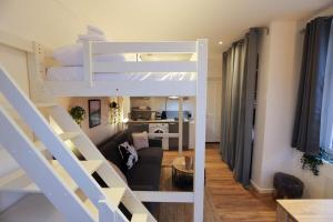 a room with a loft bed and a living room at Le Petit Plus - studio confortable avec parking in Annecy