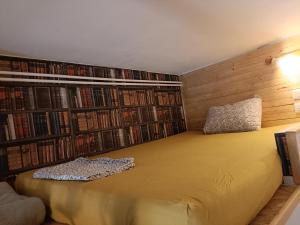 a bedroom with a bed with a wall of books at Studio à la Gare&centre de Grenoble in Grenoble +18 photos