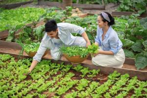 two people are looking at plants in a garden at Six Senses Con Dao - Turtle Island Paradise in Con Dao