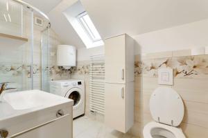 a bathroom with a toilet and a sink and a washing machine at Holiday Home Tramte In Vineyards - Happy Rentals in Škocjan +8 photos