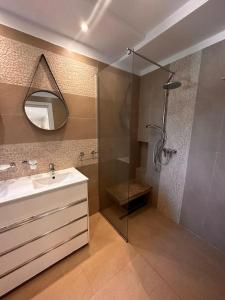 a bathroom with a shower and a sink and a mirror at Villa Carthage - Proche Mer in Dar Salah Bey
