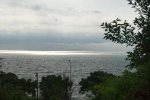 Galeriebild der Unterkunft Merabi and Neli Guest House in Makhinjauri + 50 Fotos