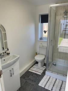 a bathroom with a toilet and a sink and a shower at The Cubley Retreat in Sheffield