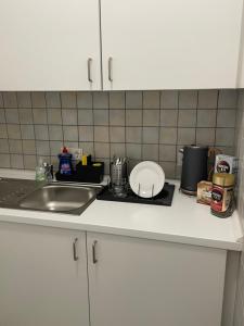 a kitchen counter top with a sink and a stove at SleepWell1 in Cologne