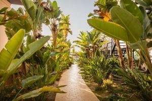 Vonkajšia záhrada v ubytovaní ALEGRIA Palacio Mojacar - Adults Only