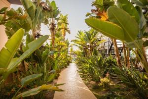 a path through a garden with palm trees and plants at ALEGRIA Palacio Mojacar - Adults Only in Mojácar