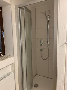 a shower with a glass door in a bathroom at Ferienwohnung "Am Mittag" in Blaichach