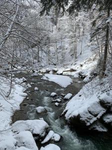Příroda nedaleko apartmánu
