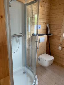 a bathroom with a shower and a toilet in a room at Ferienhäuser Altes Land in Jork