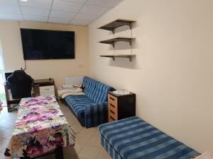 a living room with a couch and a tv at Hostel WELINEK gratis parking in Stęszew