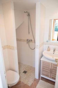 a bathroom with a shower and a toilet and a sink at Charmant Bas de Villa au cœur de la Provence in Manosque