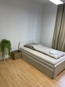 Habitación pequeña con cama y planta en SleepWellCologne en Colonia
