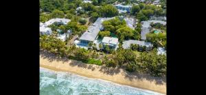 eine Luftblick auf einen Strand mit Häusern und das Meer in der Unterkunft Tropical paradise in Palm Cove