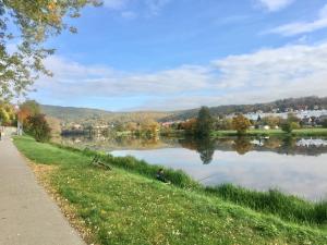 un lago con gente sentada en el césped junto a una acera en Svůj vlastní soukromý ráj-nájem apartmánu v Berouně! en Beroun