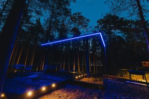a blue light in the woods at night at ÖÖD Hötels Lohusalu LEIDA & ENNO in Laulasmaa