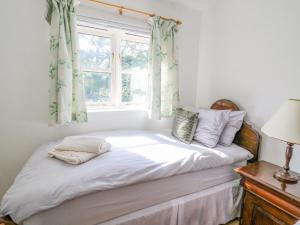 a bed in a room with a window at The Coach House at Plas Dolguog in Machynlleth