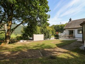 a backyard of a house with a large tree at The Coach House at Plas Dolguog in Machynlleth