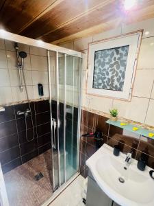 bagno con doccia e lavandino di L'exotique a Saint-Leu