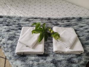 a plant sitting on top of a bed with towels at Apartament Pod Orzechem in Bydgoszcz