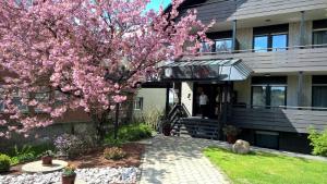 a tree with pink flowers in front of a building at Hotel an der Ilse in Lemgo