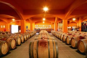 a row of wine barrels in a large room at ΒΙΟΚΛΙΜΑΤΙΚΟ ΗΛΙΟΠΕΤΡΟΣΠΙΤΟ στην ΑΡΧΑΙΑ ΒΟΚΕΡΙΑ in Peraía