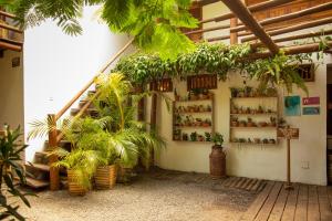 Um jardim em Casa de Paixão Caraíva