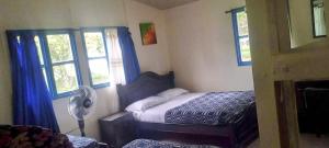 1 Schlafzimmer mit einem Bett, 2 Fenstern und einem Ventilator in der Unterkunft Megahotel in Pereira