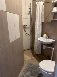 y baño con aseo, lavabo y ducha. en Sija's house en Kaunas