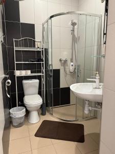 uma casa de banho com um WC e um lavatório em Sija's house em Kaunas