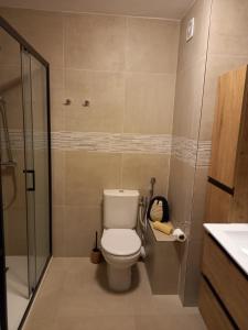 ein kleines Bad mit einem WC und einer Dusche in der Unterkunft Appartement Cosy Proche du Lac in Annecy