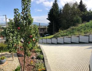 a garden with an apple tree and a brick sidewalk at Apartmán Kutička in Prešov