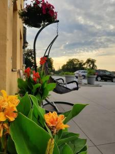 Une bande de fleurs sur le côté d'un bâtiment dans l'établissement Le calme de la prairie de liège, à Liège