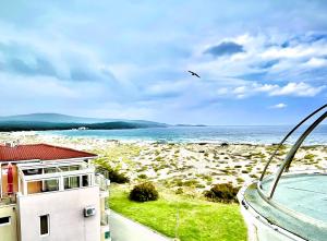 a bird flying over a beach next to a building at Private apartments Stamopolu lux in Primorsko