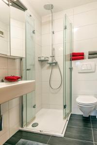 a bathroom with a shower and a toilet at Ferienwohnung Donizetti in Vandans