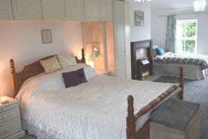 a bedroom with a large bed and a fireplace at Dee View in Holywell