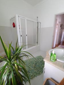 Casa da Tina في نازاريه: حمام مع حوض ومرآة ونبات