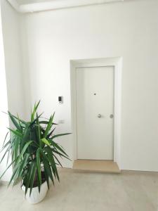 a white room with a door and a plant at Andrea's 12 in Bari