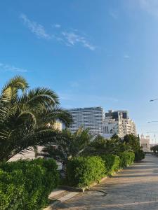 a row of palm trees on a street with buildings at Seaside Apartment in Batumi