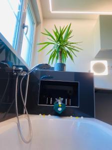 a bathroom with a plant sitting on top of a counter at Apartment 3 Tannen in Russbach am Pass Gschütt